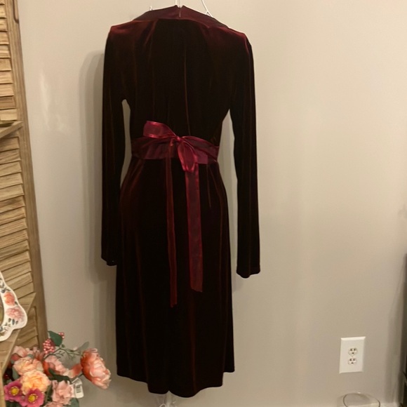 Muse Velvet Long Sleeve Dress in Rich Burgundy - Picture 5 of 8